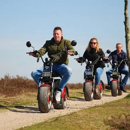 Chalet Op De Veluwe # Kastanje *