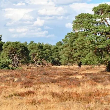 Chalet Op De Veluwe # Kastanje
