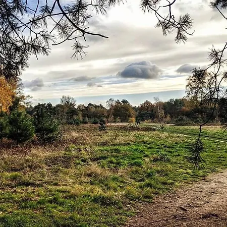 Chalet Op De Veluwe # Kastanje