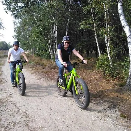 Chalet Op De Veluwe # Kastanje *
