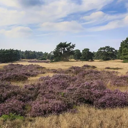 Chalet Op De Veluwe # Kastanje Putten