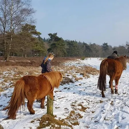 Apartment Chalet Op De Veluwe # Kastanje *
